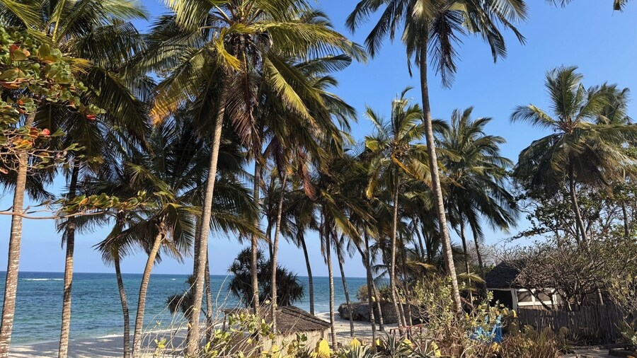 The Coconut Beach Boutique Lodge & Spa