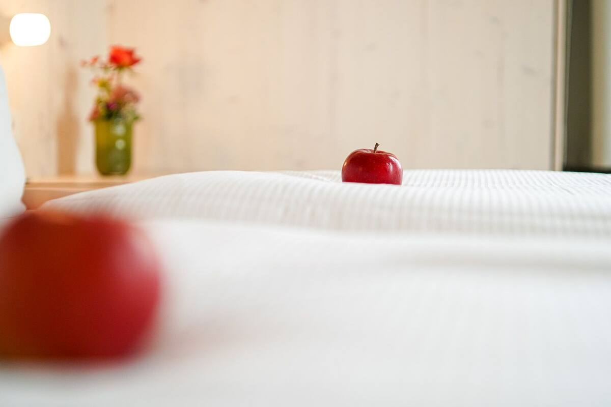 double room | hypo-allergenic bedding, desk, laptop workspace, blackout curtains