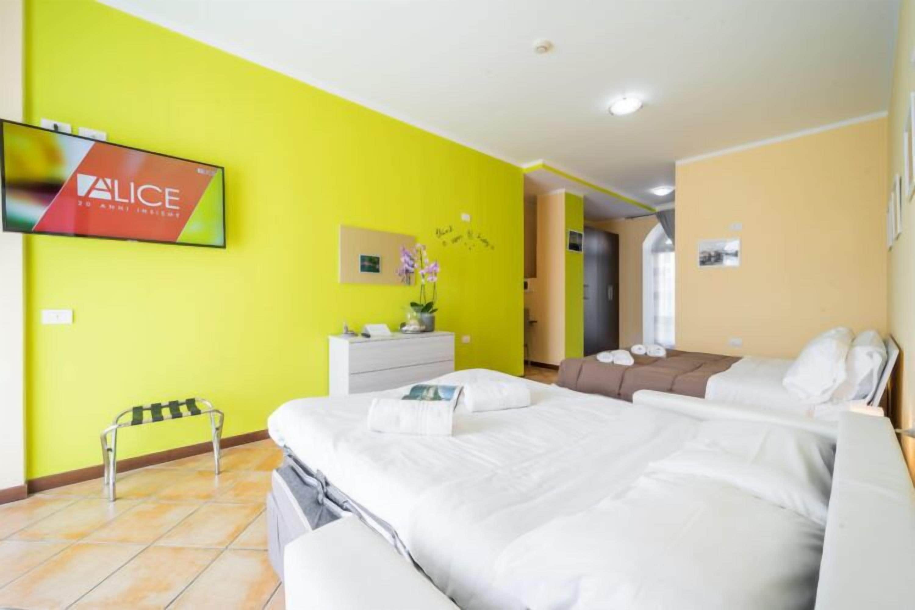 A hotel room with a bed, a TV mounted on the wall, a small table with a plant, and a bench.
