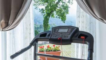 A treadmill in a room with a view of a garden through a window.