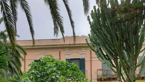Un chemin mène à un bâtiment à la façade traditionnelle, entouré d’une végétation luxuriante et agrémenté d’un grand cactus.