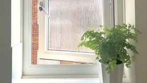 Une fenêtre avec un cadre blanc, une porte fermée et un pot de fleurs posé sur le rebord de la fenêtre.