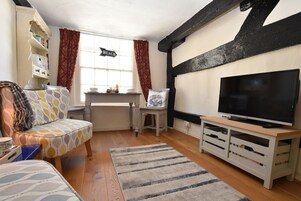 平板电视、壁炉、DVD 播放器