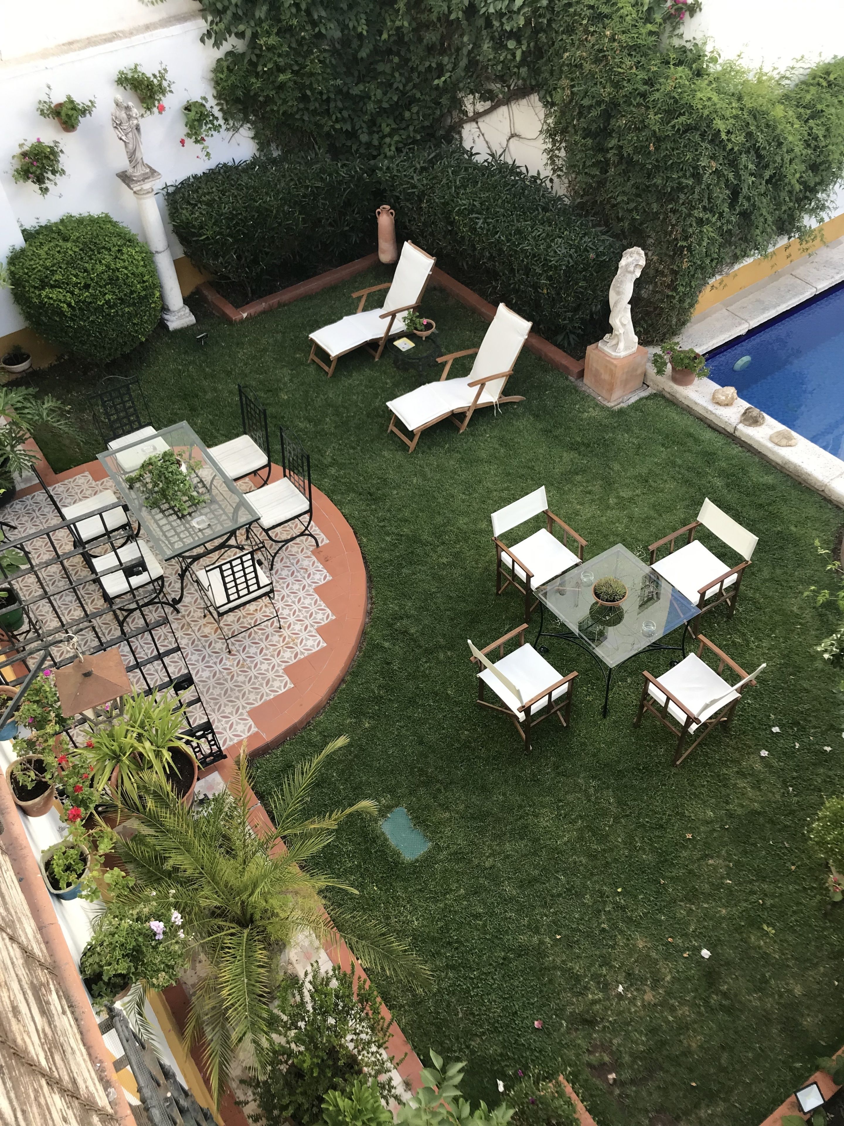 Un jardín en la azotea con piscina, zonas de estar y diversas plantas.