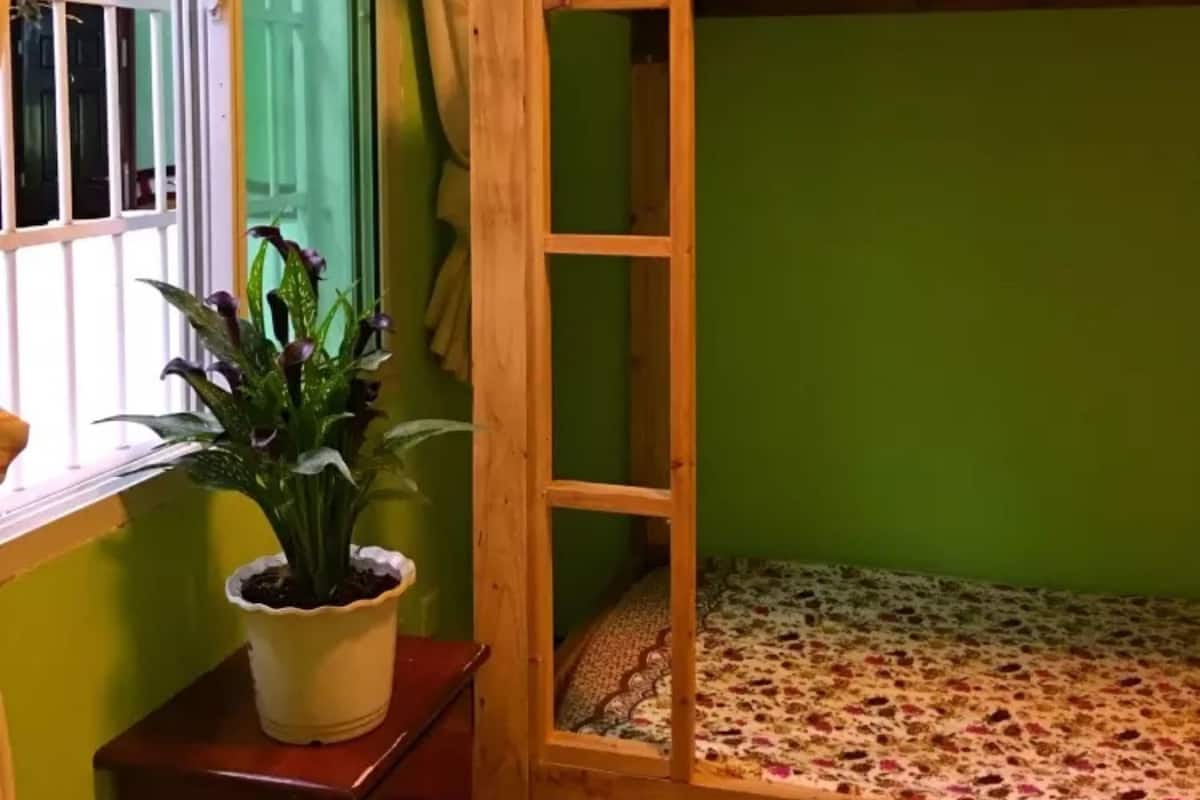Bed in 6-Bed Female Dormitory | Free WiFi