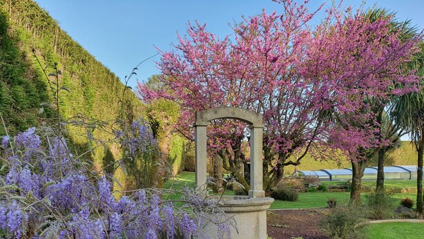 A garden with a stone fountain, flowering trees, and a well-maintained lawn. - Casa da Agra, villa with pool and splendid garden (A Coruña)