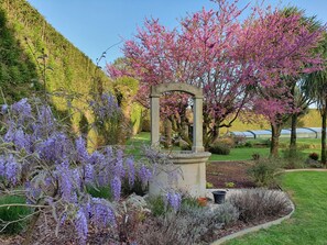 A garden with a stone fountain, flowering trees, and a well-maintained lawn.
