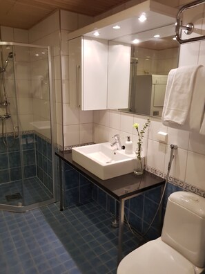 Appartement Deluxe (with Sauna and Balcony) | Salle de bain | Douche, articles de toilette (gratuits), séchoir à cheveux, bidet