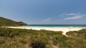 Ein Strand mit klarem türkisfarbenem Wasser, Sandstrand und grüner Vegetation.
