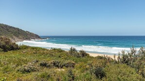 A coastal landscape with a beach, ocean waves, and vegetation.