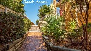 A pathway leading to a beach, flanked by lush greenery and a wooden fence.