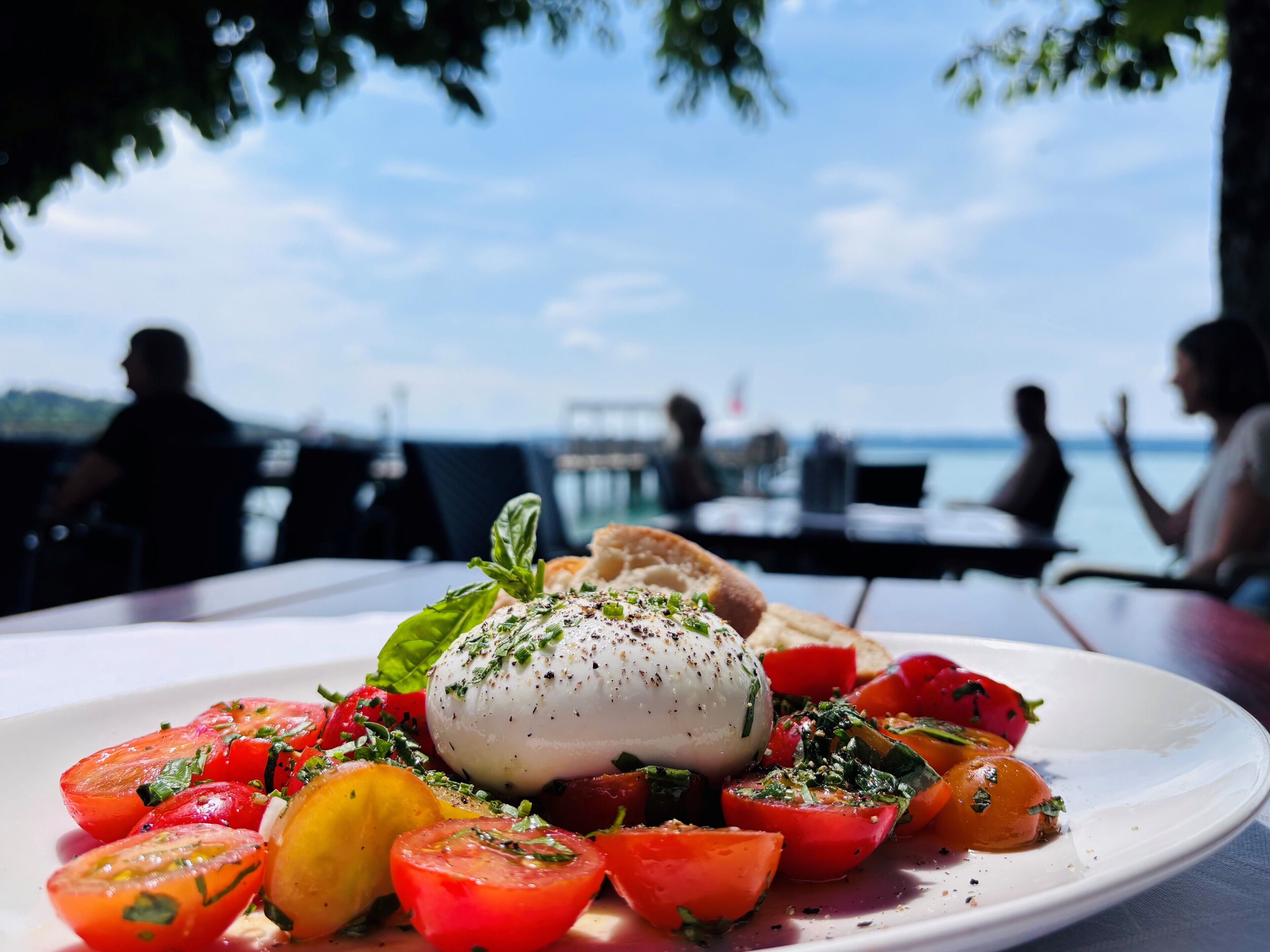 A plate of food with a white sauce and tomatoes, set on a table with a view of the sea.