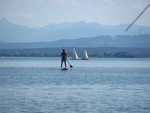 Paseos en bote