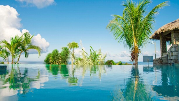 A clear blue pool surrounded by palm trees and a thatched-roof structure.