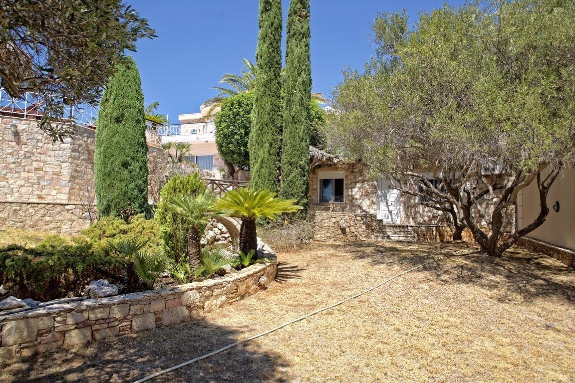 Un patio con muros de piedra, altos cipreses y una planta de palma.