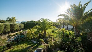 Ein angelegter Garten mit Palmen, einem Kiesweg und Blick auf das Meer.