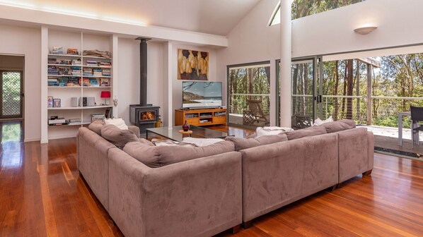 TV, fireplace, DVD player