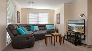 TV, fireplace, DVD player