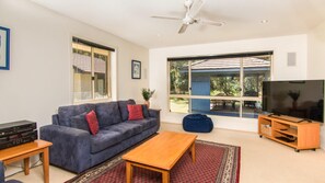 TV, fireplace, DVD player