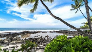 A rocky beach with palm trees and ocean views. - Loft Style Completely Remodeled Condo (Kailua-Kona)