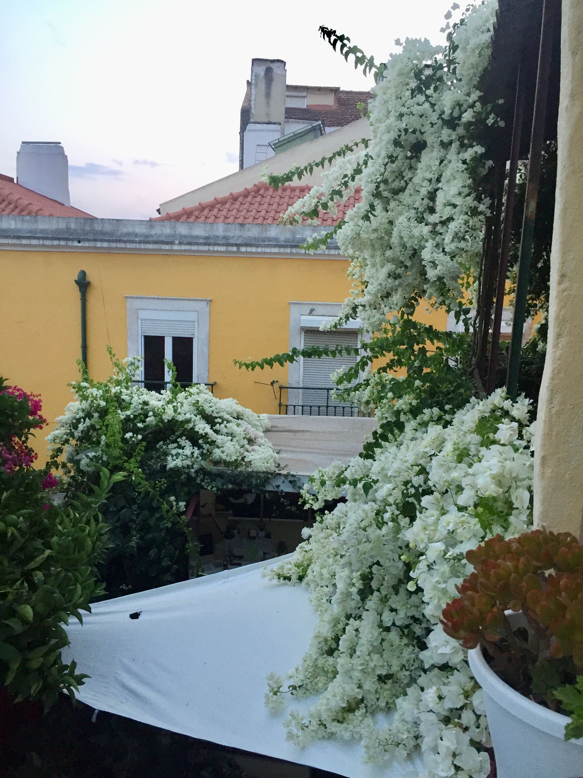 Appartement, 2 slaapkamers, balkon, uitzicht op tuin | Uitzicht vanaf balkon