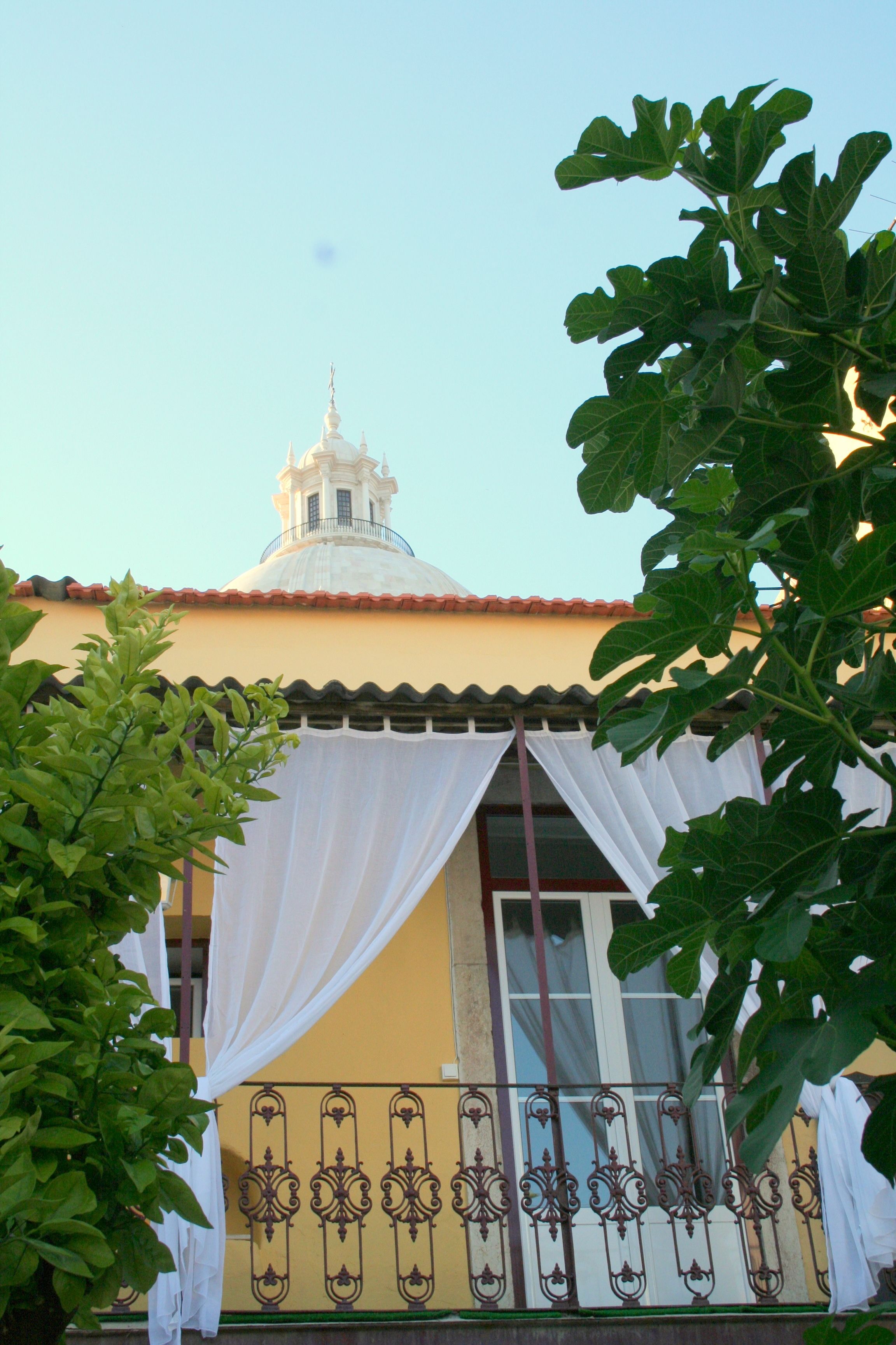 Ngoại thất