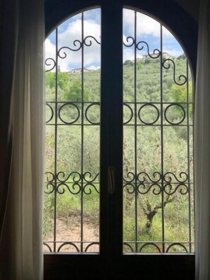Ein Fenster mit Metallgitter und Vorhängen, durch das sich eine hügelige Landschaft mit Bäumen und einem Gebäude in der Ferne zeigt.