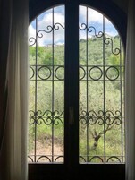 Una ventana con una reja de metal y cortinas, que muestra una vista de un paisaje montañoso con árboles y un edificio a lo lejos.