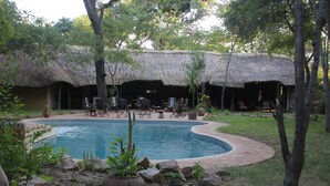 A pool area with a thatched-roof structure, lounge chairs, and potted plants. - Miombo Safari Camp (Dete)