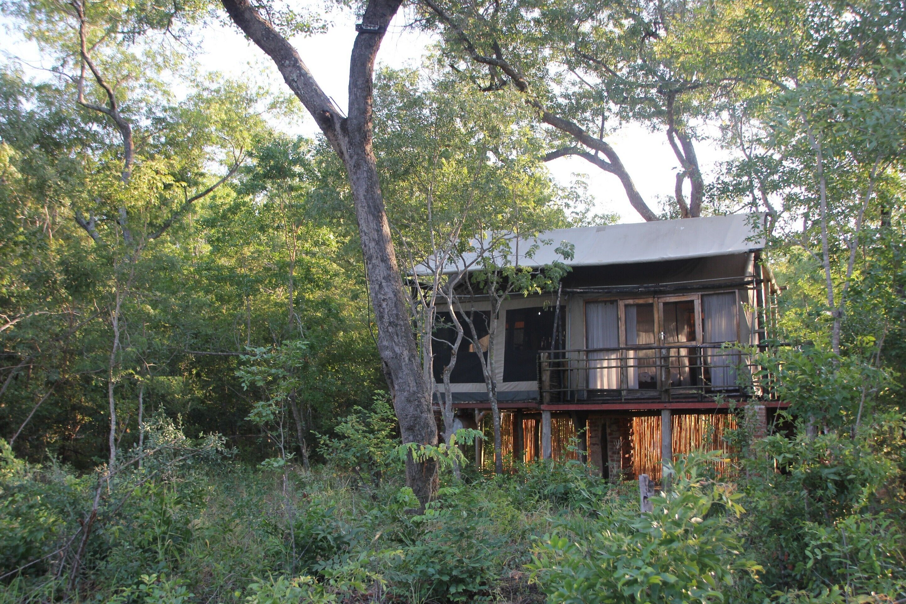 Elephant Camp - Elevated Treehouse (4) | Room amenity