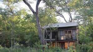 A cabin surrounded by dense forest. - Miombo Safari Camp (Dete)