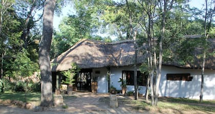 Miombo Safari Camp