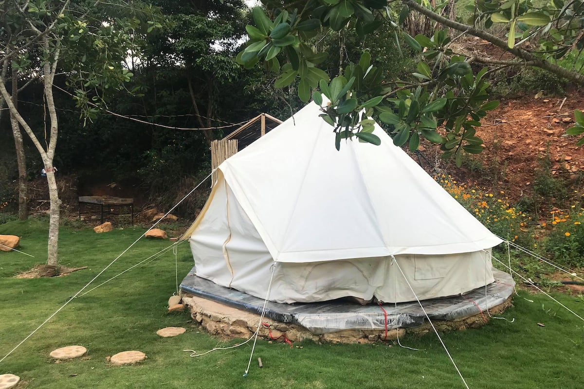 A white tent set up on a grassy area with a stone base, surrounded by trees and a garden with yellow flowers.