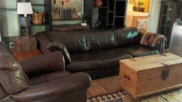 电视、壁炉、书、音乐库