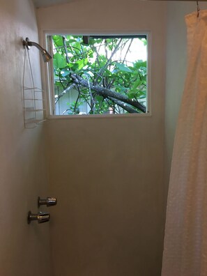 Combined shower/tub, hair dryer, towels, soap - Mountain Cottage near Russian River, hiking & downtown, family and pet friendly (Healdsburg)
