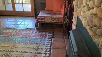 电视、壁炉、书、音乐库