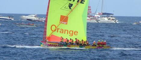 A sailboat with a large orange and yellow sail, named 'ROSETTE', on the water.