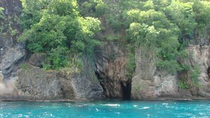 A coastal cliff with a natural cave entrance surrounded by dense green foliage. - "Pied à terre to visit the north caribbean" (Le Carbet)