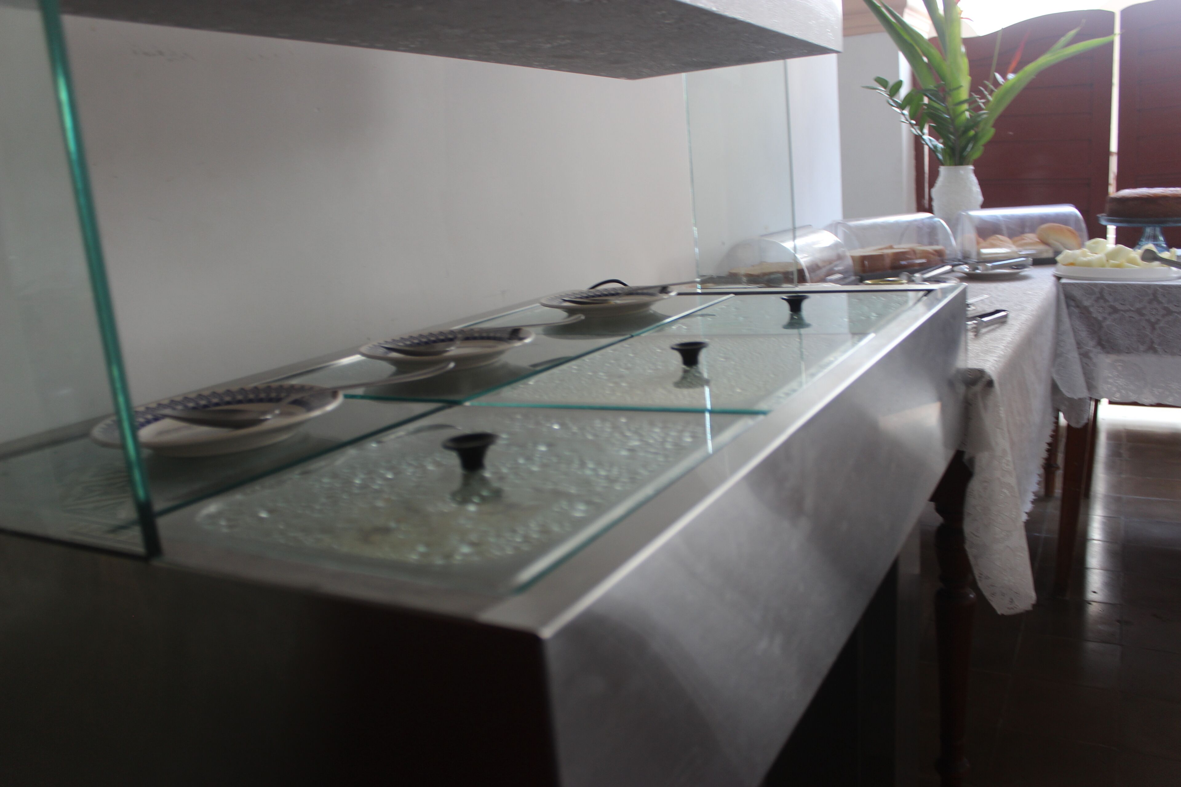 A glass display case with various items, a potted plant, and a table with food and drinks.