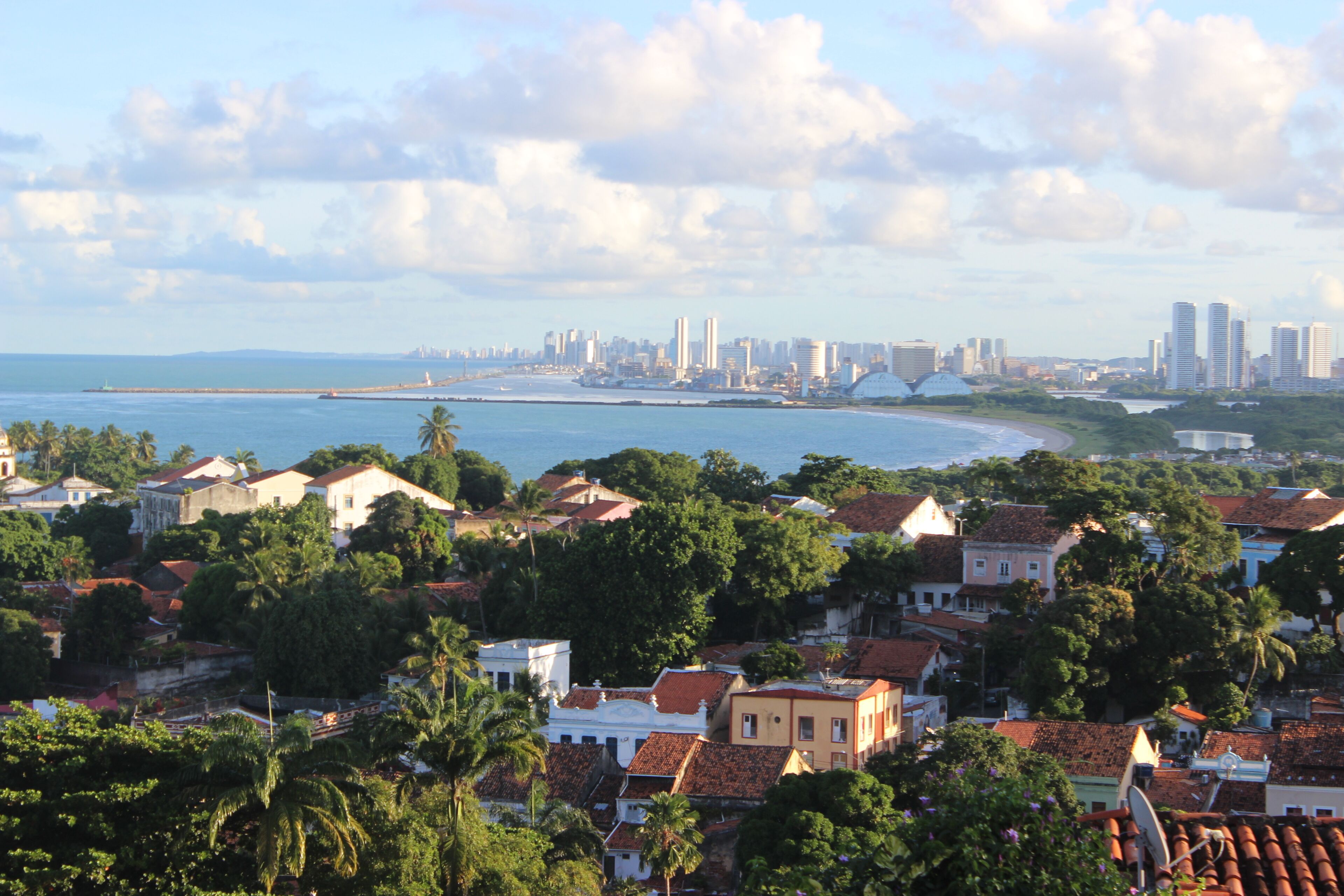 Un paisaje urbano costero con edificios residenciales densos, un puerto deportivo y un horizonte lejano de rascacielos.