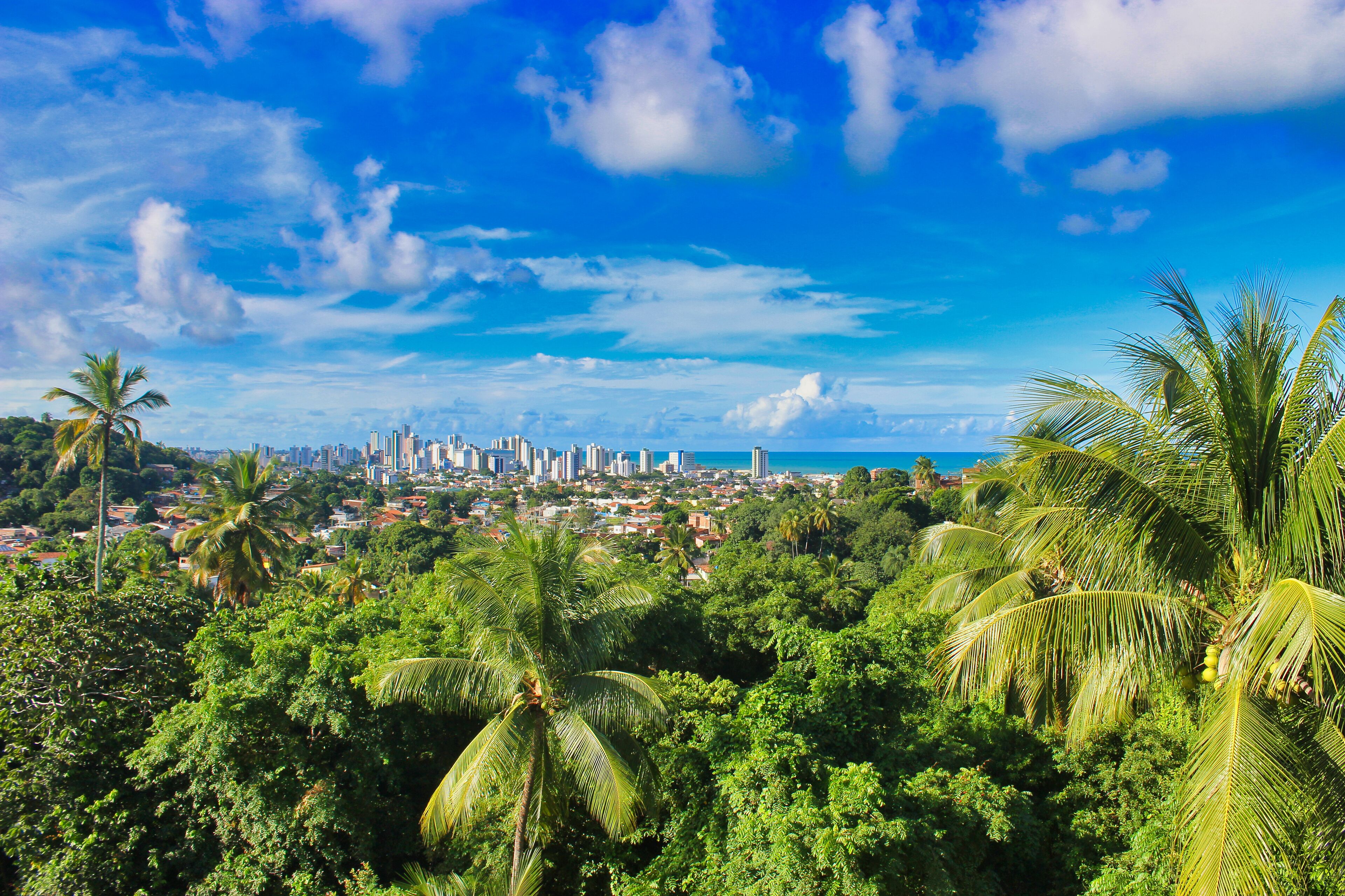 city view from property