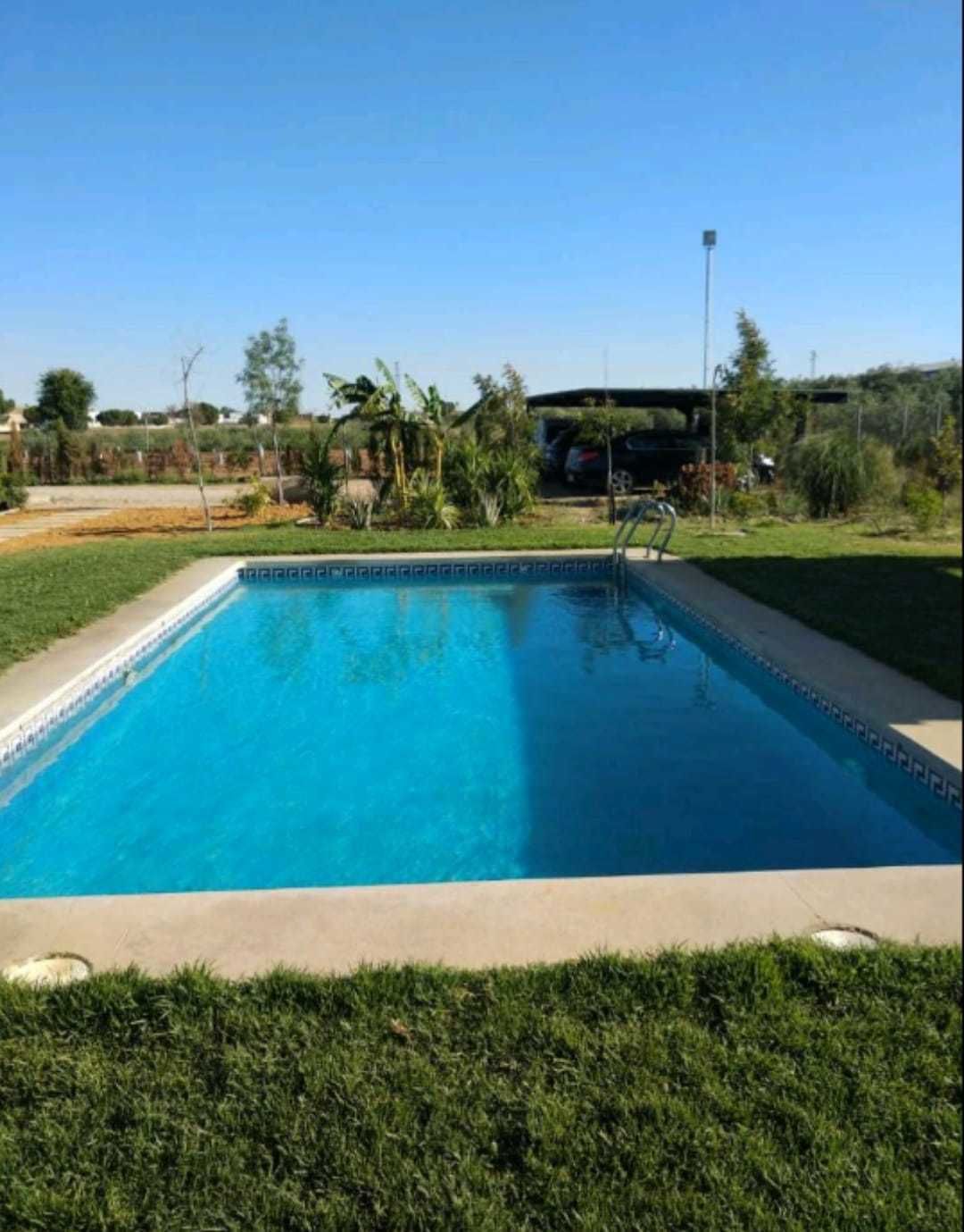 A rectangular swimming pool with clear blue water, surrounded by a well-maintained lawn and some greenery.