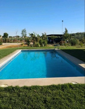 A rectangular swimming pool with clear blue water, surrounded by a well-maintained lawn and some greenery.