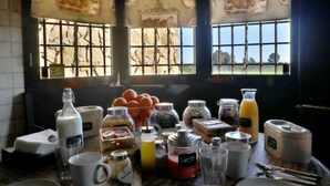 A breakfast table with various food items and beverages, a window with a view of the outdoors, and a curtain with a horse pattern.