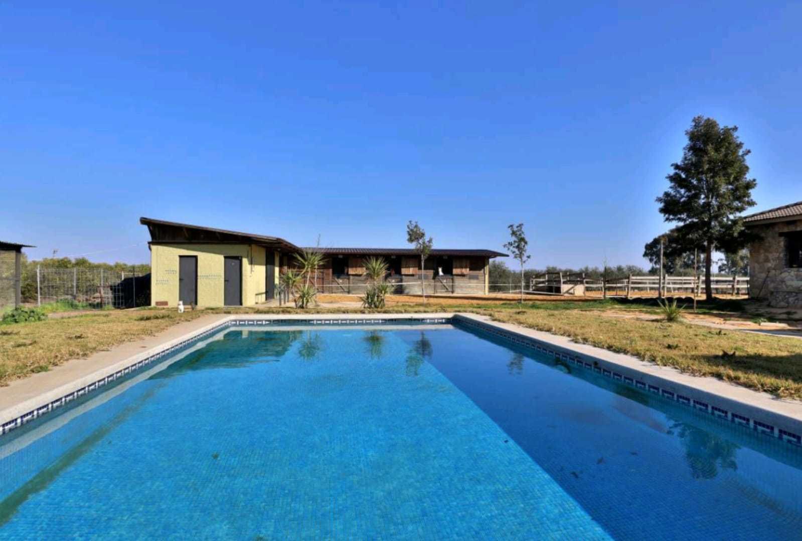 حمّام سباحة خارجي، مقاعد للتشمس