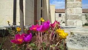 Exterior detail - Masseria Sucea (Martano)