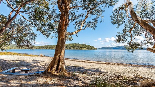 Une vue sur le lac, avec une plage de sable, une table de pique-nique et un grand arbre qui offre de l’ombre.