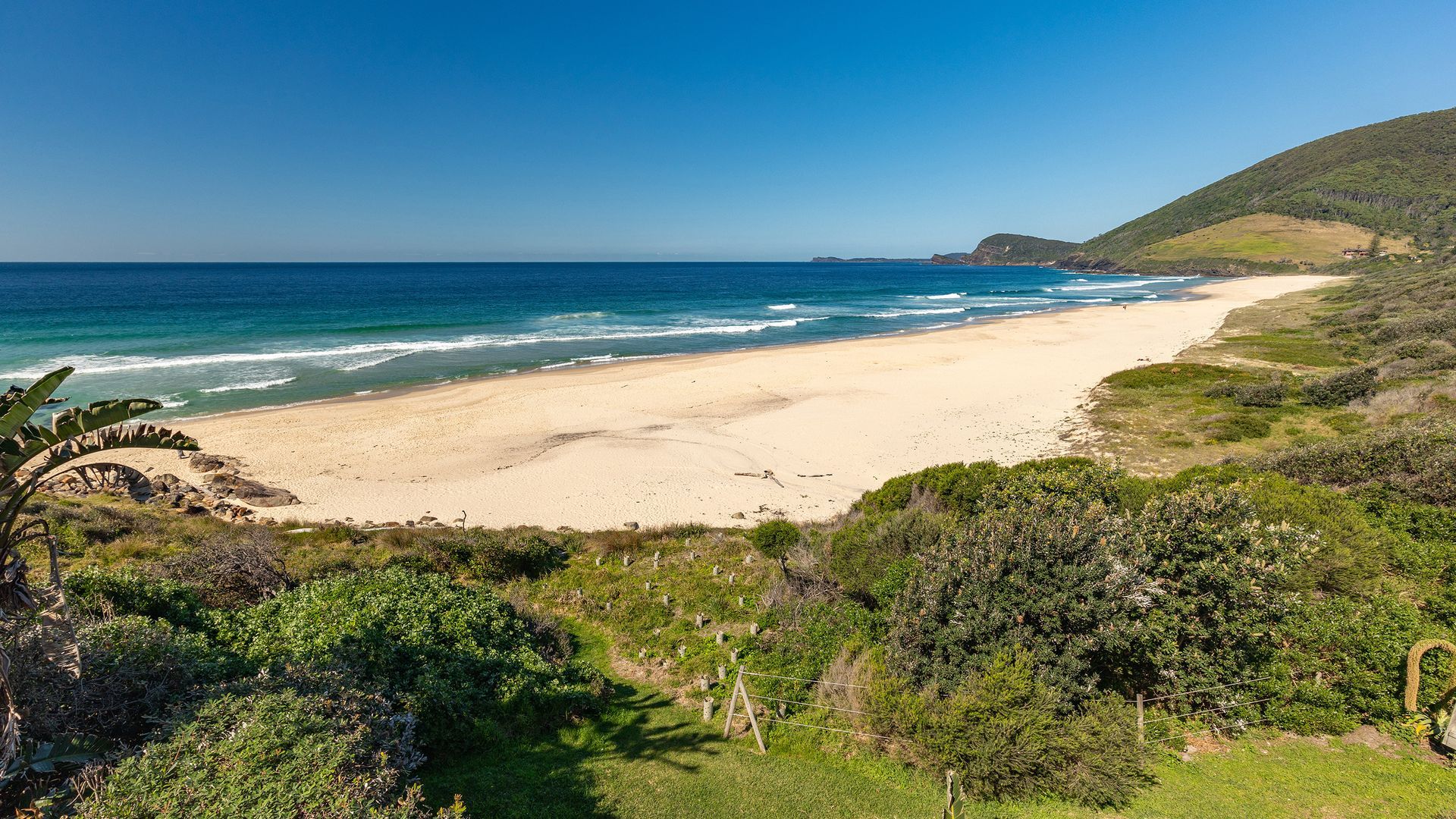 Un paysage côtier avec une plage de sable, de la végétation et un ciel dégagé.