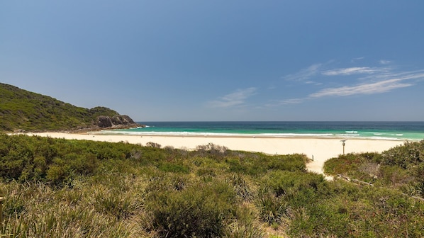 Une plage aux eaux turquoise et limpides, bordée d’un rivage sablonneux et d’une végétation luxuriante.