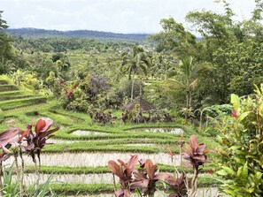 Property grounds - Beachvilla, 2/8 PRs. cooking incl. private pool, jacuzzi, massage available (Seririt)